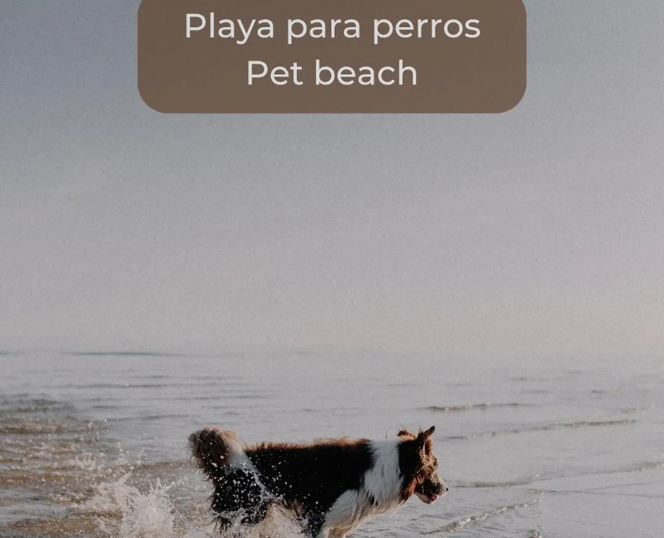 Canelita Con Piscina, Soleada Terraza Amplia Wifi Y Parking Corralejo Spain